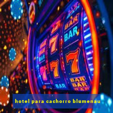 hotel para cachorro blumenau